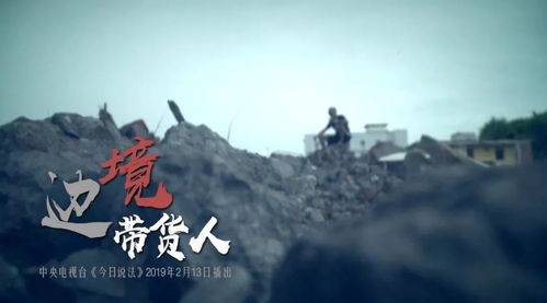 “今天阳光明媚”竟是欢迎围猎暗号