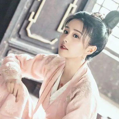 原来白鹿是真睡着了