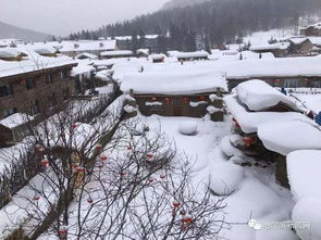 雪乡景区大年初三将闭园？不实