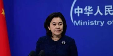 华春莹卸任外交部发言人
