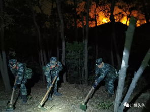 广东肇庆山火600人扑救