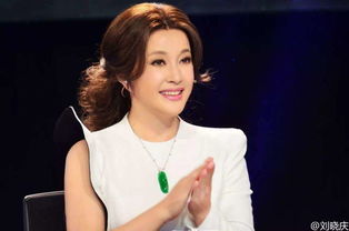 李小冉回应对刘晓庆臭脸