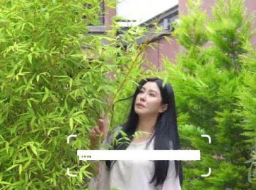 58岁王祖贤现身寺庙打扮朴素