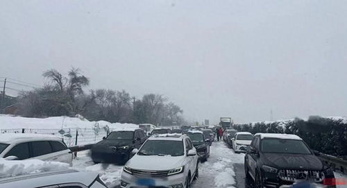 #暴雪下的春运回家路有多艰辛#