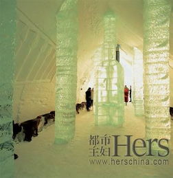 现实版的鹅毛大雪