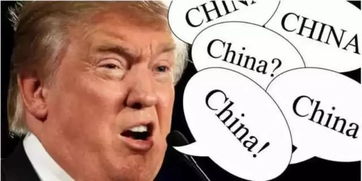 石破茂称被特朗普的关税说法惊呆了