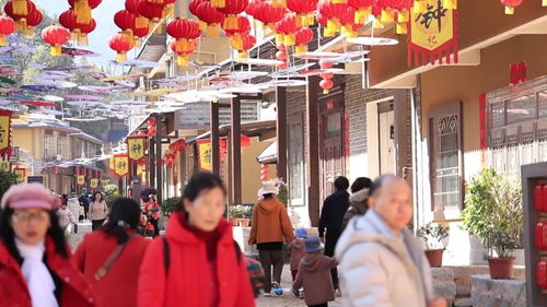 春节文旅消费活力迸发