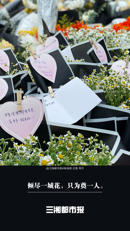 倾尽一城花 只为奠一人