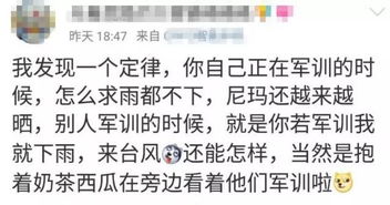 山东人不语只是一味买票