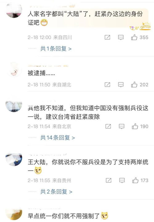 王大陆被逮捕现场曝光