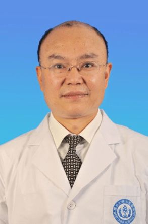 广东省长和机器人握手交流