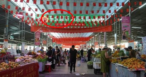 “三亚平替”挤满东北人