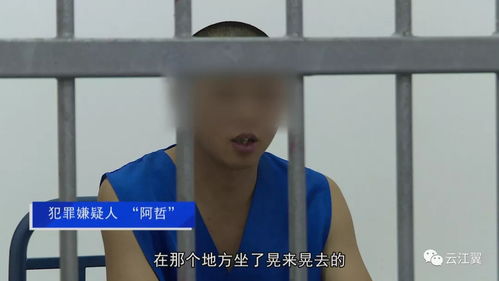 被“电诈”PUA的高学历者们
