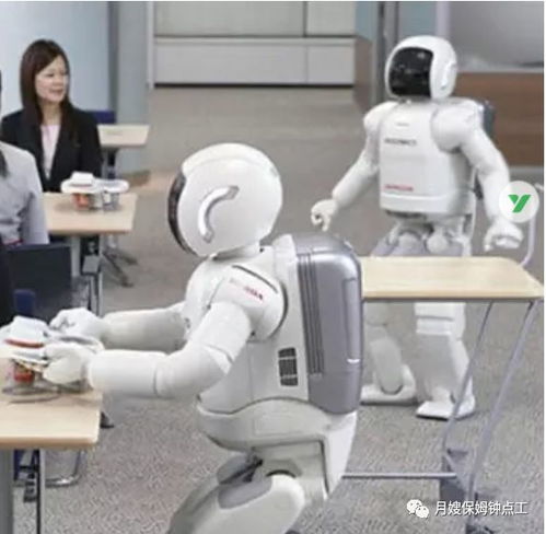 小伙30多万买机器人对外租8000一天