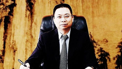 宝能姚振华被执行36.6亿