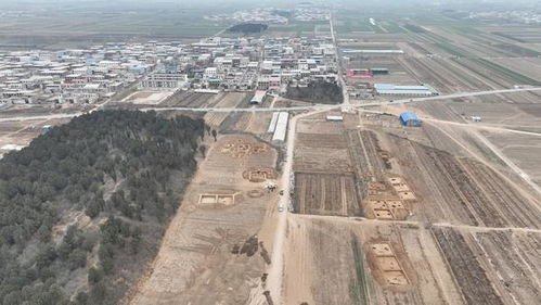 广东又有重大考古新发现