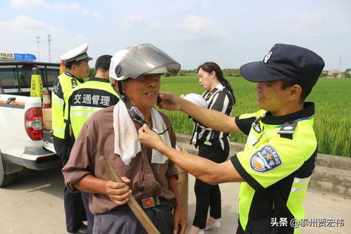 民警用DeepSeek帮马回家