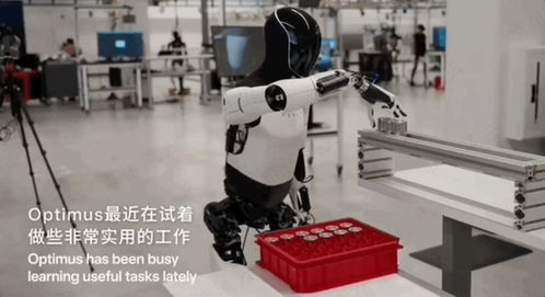 人形机器人已经开始全国“打工”了