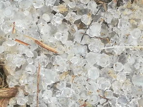 广东多地冰雹密集砸地