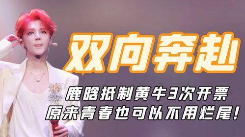 诈骗了黄牛3场演唱会被判还8800