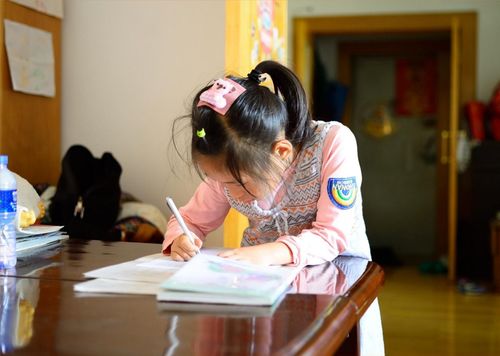 全专业学生都被打包签走 老师笑傻了