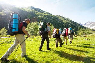 长沙一老人自费修百米登山木梯