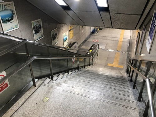 深圳一面馆从面粉到出餐都是机器人