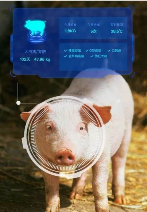 AI已经进化到能养猪了