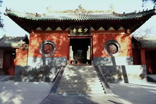 80岁河南大爷到法喜寺拍500岁玉兰
