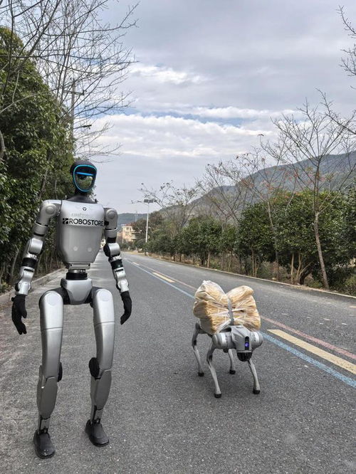 疯狂的打工机器人