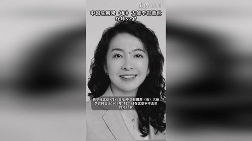 中国驻刚果（布）大使李岩逝世