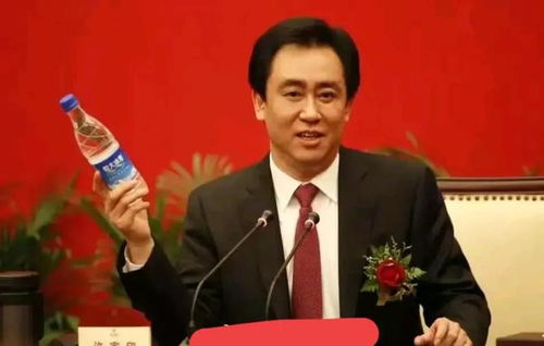 许家印前妻丁玉梅 申请被拒