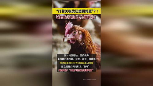 美国打着关税战还想要鸡蛋