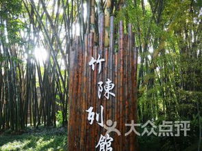 成都竹子开花 错过再等60年