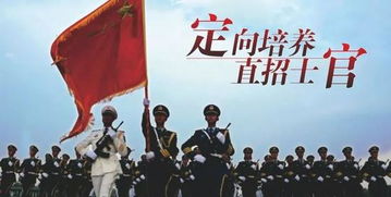 教育部：鼓励应届生积极参军入伍