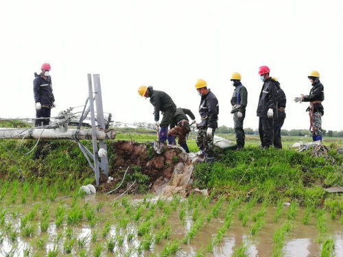 这次“历史罕见”大风有多极端