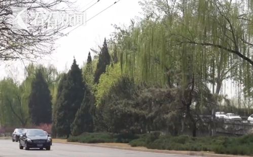 华北极端大风