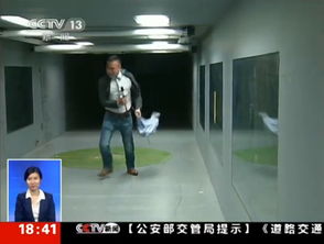 北京狂风掀起铁板 记者直播险被砸中