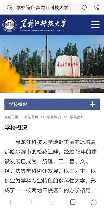 校方回应300年银杏被砍