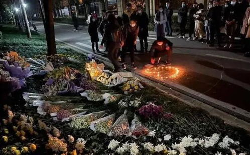 外卖员撞死未牵绳宠物狗被打