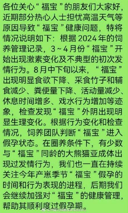 福宝再次进入假孕状态