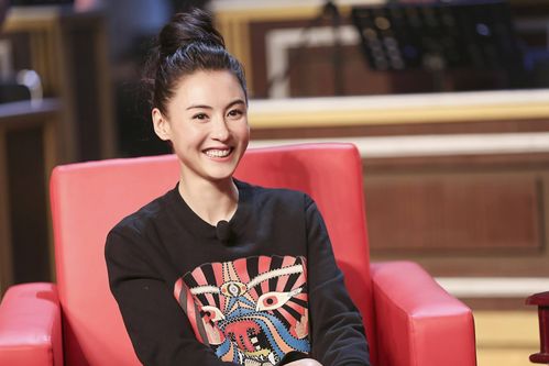 谢霆锋儿子现身演唱会