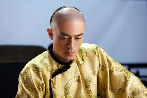 雷佳音眉毛好像当代李逵