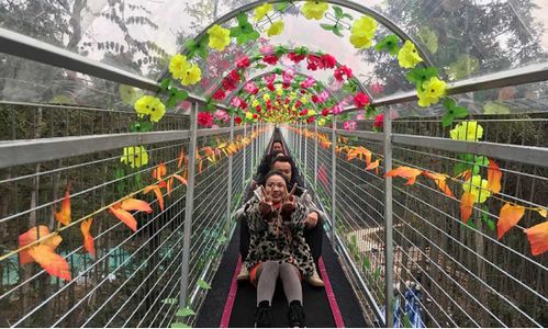 景区飞天魔毯失控 多名游客被甩出