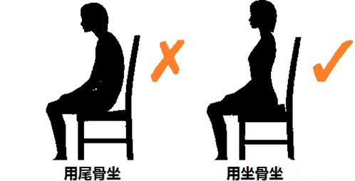 小猫“悟空”去世仍有多个疑点