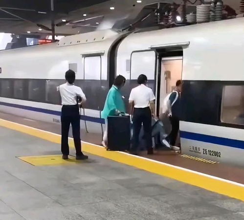 上海一女子阻挡高铁关门？假