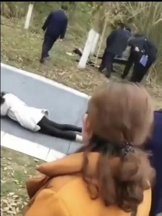 网友担心失踪男孩遇蟒蛇 当地回应