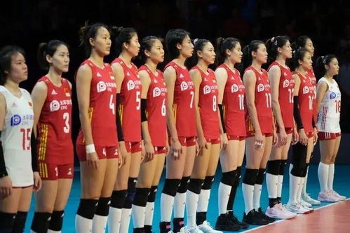 中国女排世联赛大名单公布