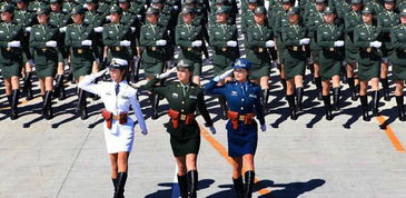 被解放军正步和白俄军乐团鼓点硬控
