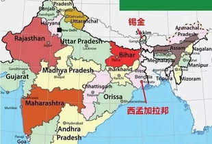 印度证实印巴已同意停火